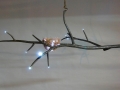 “Branch” by Dave Cann.jpg