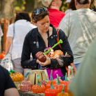 2012 Pumpkin Patch during the Festival of Fine Craft