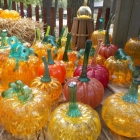 2013 Pumpkin Patch during the Festival of Fine Craft