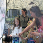 2015 The Butterfly Tent during the Eco Fair