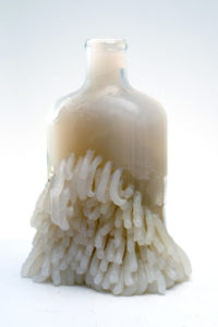Glass Bottle by David King with tendrils coming out of the base of the bottle
