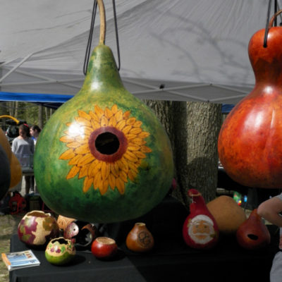 2 Large Scale Bird House Gourds