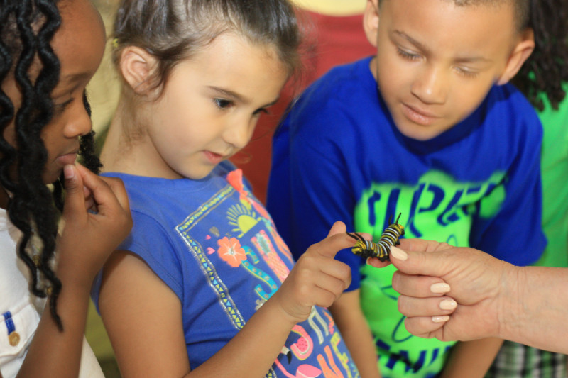 Three children observe a small yellow caterpillar