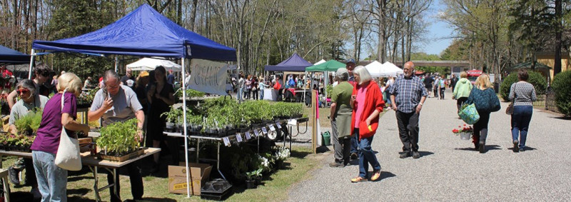 Visitors and Vendors at ECO Fair