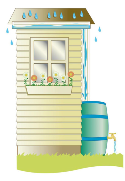 Rain Barrel image