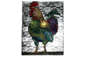 Silk Screen Chicken Art by Rip Bodman