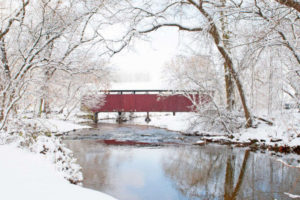 Snow Covered Pond and Trees Photograph