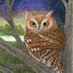 Painting of a nighttime scene depicting a Great horned owl in a tree overlooking the wilderness by Ramona Maziarz.