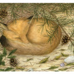 A painting of a fox curled up under a pine tree with two seashells at its feet by Ramona Maziarz.