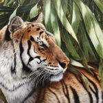 Realistic acrylic painting of a tiger surrounded by long green leaves by Ron Orlando..