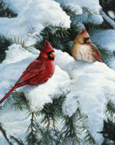 Realistic acrylic painting of two cardinals sitting on snowy pine branches by Ron Orlando.