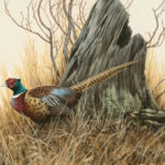 Hyperrealistic acrylic painting of a pheasant in front of a tree stump, surrounded by tan grass by Ron Orlando.