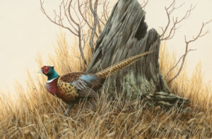 Hyperrealistic acrylic painting of a pheasant in front of a tree stump, surrounded by tan grass by Ron Orlando.