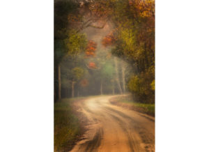 Dirt Road Photograph by David Woeller