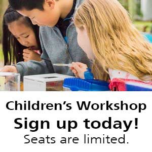 Children's Workshops Banner