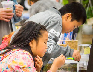 Kids Volunteering at Eco Fair