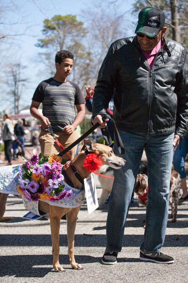 Man walking a dog in a purple and red flower costume
