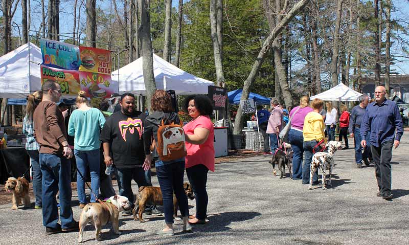 Visitors and Vendors for PAWS for Art