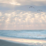 Photograph taken by James Evangelista of two seagulls soaring over the ocean, the sun peeking through billowy clouds overhead