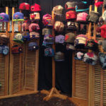 Heidi Hammel booth image