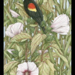 Bird on flower painting by Ramona Maziarz