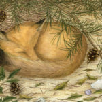 Fox Painting by Ramona Maziarz