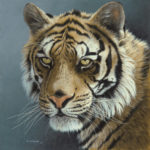 Tiger Painting by Ron Orlando