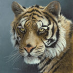 Tiger Painting by Ron Orlando
