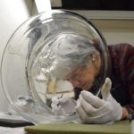 Artist Emily Brown applying enamel to glass cylinder