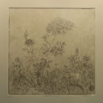 This etching of flowers on a metal plate was inked, then transferred to cotton paper. Created by Maryann Cannon.