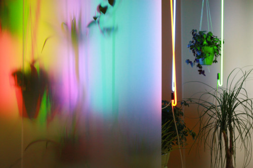 Ultraviolet installation of neon lights and hanging plants. Created by Hiromi Takizawa.