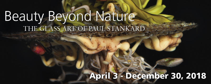 Banner for Beauty Beyond Nature: The Glass Art of Paul Stankard on April 3 through December 30, 2018. Background with detail of botanical paperweight.