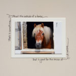 Photograph taken by Barry Hollritt of a red horse with a white mane. The photo is matted with text around the mat, reading: "There is something about the outside of a horse that is good for the inside of a person"