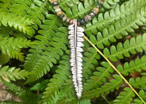 Silver metal clay long leaf pendant with green and brown beads, hung over a branch of matching long green leaves. Created by Sue Fontana.