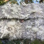 Textile weaving by Belinda DeCicco.