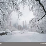 Photograph by Michael Leu of a city in the distance, obscured partially by the thick falling snow and the long snow-covered branches in the upper foreground.