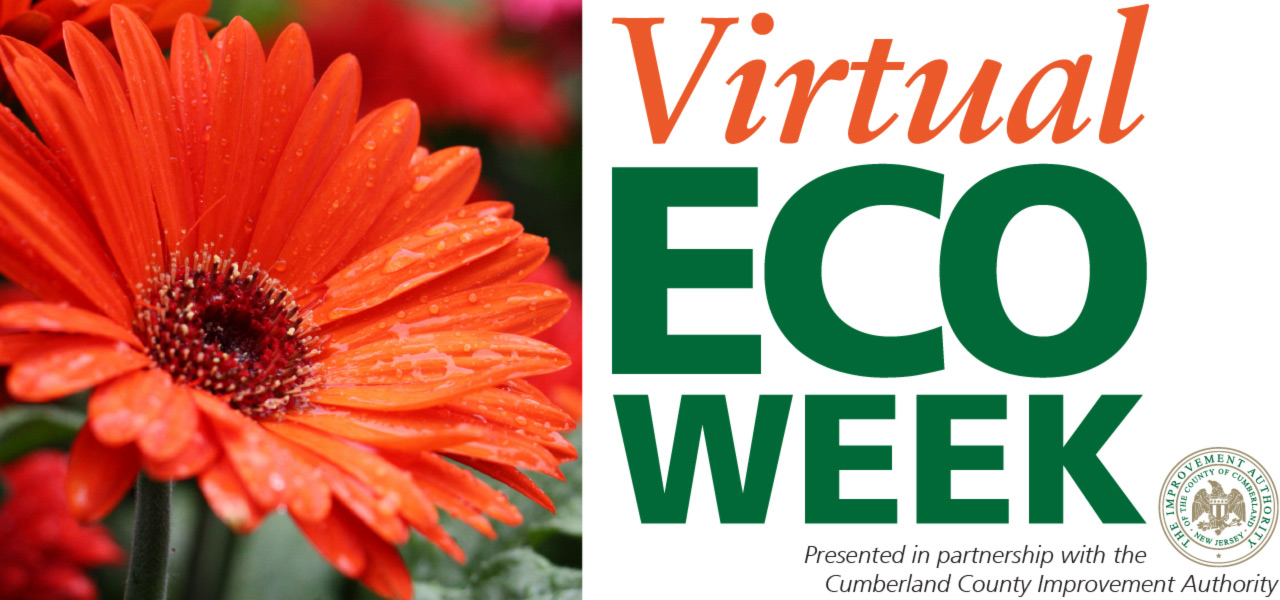 Virtual ECO WEEK. Presented in partnership with the Cumberland County Inprovement Authority. Virtual ECO Week banner with orange flower, with orange and green text.