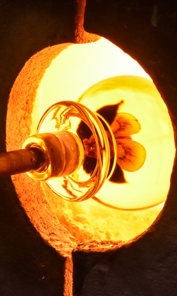 Trial run of a large Millville Rose Paperweight at the end of a blowpipe being inserted into a glory hole