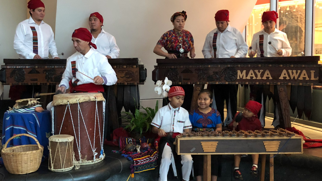 A group of musicians, the Marimba Maya AWAL band, play a collection of percussive instruments.
