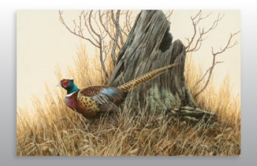 A painting of a pheasant in front of a tree stump in a golden yellow field. Painted by Ron Orlando.
