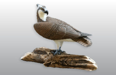 A carved bird with brown wings, standing on a log by artist Tom Ahern.