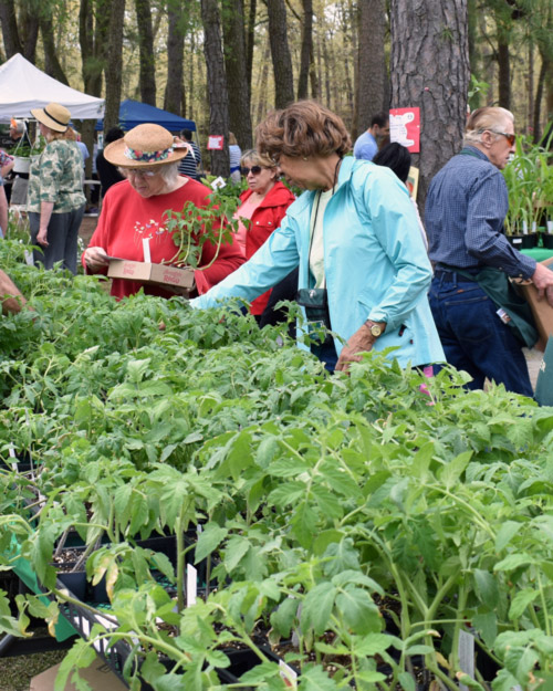 Attendees of a previous ECO Fair event admire and shop for varieties of plants arranged on a vendor table. Different color tents, other attendees, and trees stand in the background.