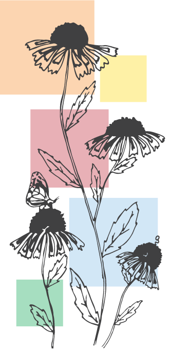A general graphic of flowers drawn in front of colored squares for the Art in the Outdoors: Nature Journaling advertisement design.