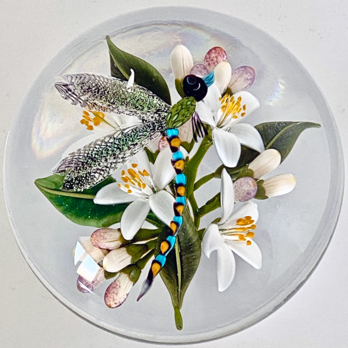 An image used for Paperweight Fest 2023 is of a blue, yellow & brown spotted dragonfly on a flower with yellow & pink petals.