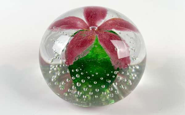 This detailed five-petal flower paperweight with a large green stem in the middle, attached to five large pink petals and above several tiny bubbles, is a possible creation of the five-petal flower paperweight make-your-own experience.