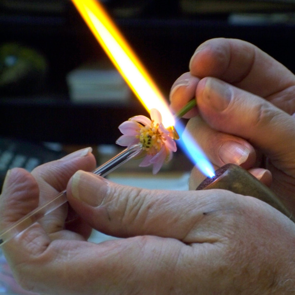 This image is a close-up of Paul Stankard's hands fusing a pink glass flower over a stationary torch.
