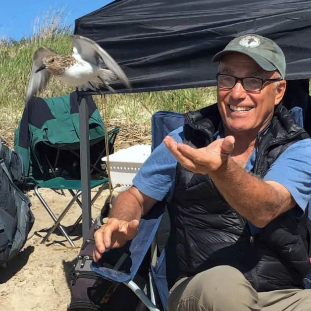 A close-up of speaker Dr.Niles wearing a blue hat and a black vest sitting on a chair on the beach next to a seagull mid-flight.