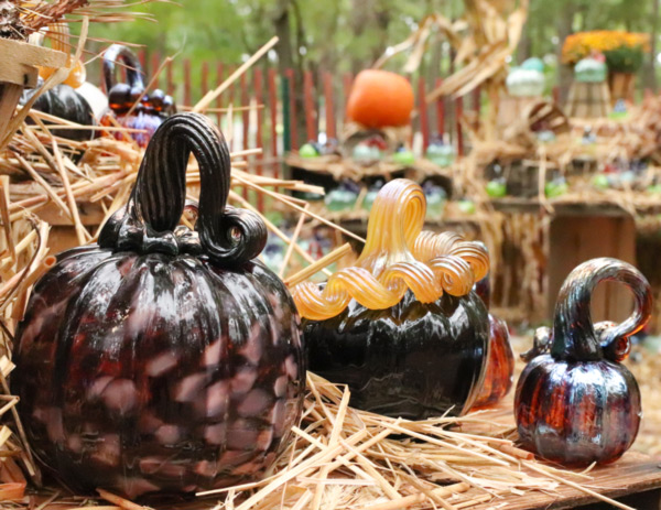 Image of WheatonArts glass pumpkins in the Festival of Fine Craft Pumpkin Patch. The image features a closeup of three glass pumpkins resting on a wooden surface and straw. The pumpkin on the left is black with light pink spots and a black curly stem. The middle pumpkin is black with a light amber curly stem. The pumpkin on the right is small, brown, and has a tall brown curly stem.
